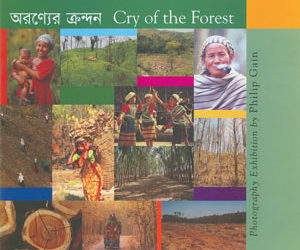Cry of the Forest – Exhibition