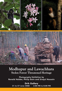 Modhupur and Lawachhara: Stolen Forest Threatened Heritage – Exhibition