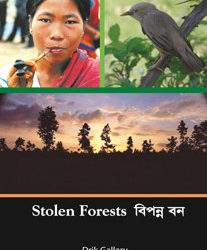 Stolen Forests – Exhibition