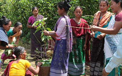 Organic Farming Training for Garo Women