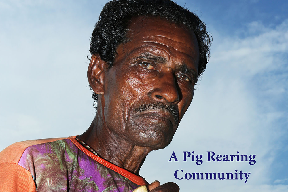Kaiputra: A Pig Rearing Community